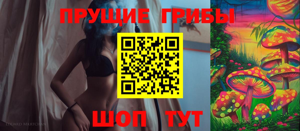 Псилоцибиновые грибы Psilocybe  Вход с VPN  Сунжа 